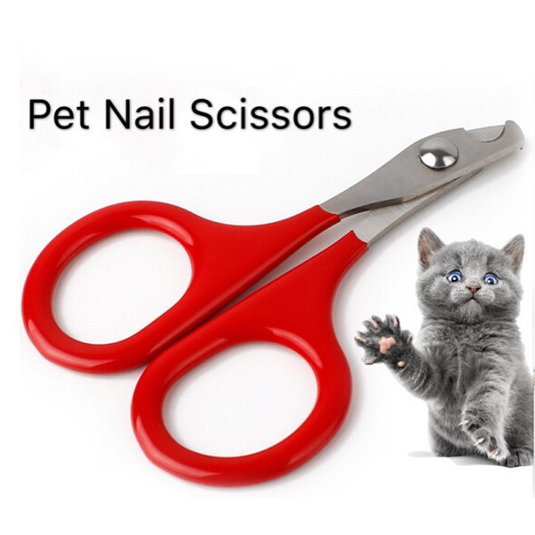 Pet Nail Clippers for Small Animals – Best Cat Nail Clippers & Claw Trimmer  for Home Grooming Kit – Professional Grooming Tool for Tiny Dog Cat Bunny  Rabbit Bird Puppy Kitten Ferret –